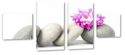 kamienie, szare, wellness, fioletowy kwiat, spa, relaks