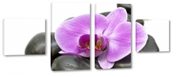 orchidea, fioletowa, kamienie, spa, dla kobiety