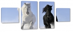 konie, para, kontrast, biay, czarny, galop, bieg, na niegu