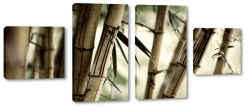 bambus, makro, zblienie, natura, drzewo, z bliska