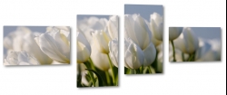 tulipany, holandia, zapach, biae, bukiet, wiosenny, do salonu, ogrd
