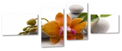 orchidea, kamienie, pomaraczowa, pki, spa, dla kobiety