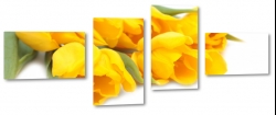 tulipany, holandia, zapach, te, bukiet, wiosenny, do salonu, ogrd