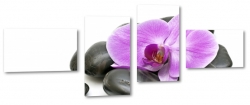 orchidea, kamienie, czarne, rwnowaga, wellness, do salonu, relaks, spa