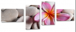 plumeria, rowa, hawajski kwiat, lei, kamienie, spa, dla kobiety