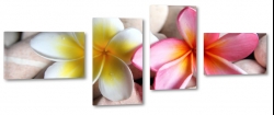 plumeria, para, kamienie, lei, hawajski, otoczaki, spa, romantyczny