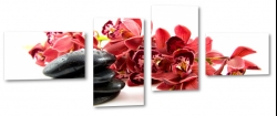 orchidea, czerwona, kamienie, rwnowaga, relaks, dla kobiety