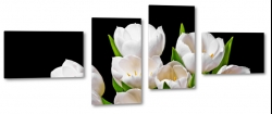 tulipany, holandia, zapach, biae, bukiet, wiosenny, do salonu, ogrd, czarne to