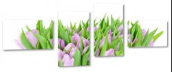 tulipany, holandia, zapach, fioletowe, bukiet, wiosenny, do salonu, biae to, gsto