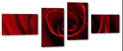 ra, czerwona, rosa, patki, romantyczna, dla kobiety, tajemnicza