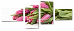 tulipany, holandia, zapach, rowe, bukiet, zapach, biae to, dla kobiety