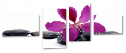 hawajski kwiat, fioletowy, kamienie, wellness, relaks, spa, dla kobiety