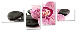 orchidea, fioletowa, biae to, do salonu, ukad, kompozycja, kamienie, spa, dla kobiety