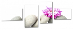 kamienie, kwiat, hawajski, rowy, ukad, kamienie, zen, relaks, spa, dla kobiety