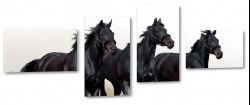 konie, mustangi, dziko, natura, galop, bieg, dark, czarny, kopyta, wycig, piasek, na play
