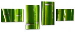 bambus, makro, zblienie, natura, ziele, azja, chiny