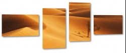 pustynia, egipt, afryka, lato, upa, piasek, piach, soce, skwar, wydmy, drzewo, cie, samotnia