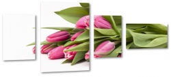 tulipany, holandia, zapach, rowe, bukiet, zapach, biae to, dla kobiety