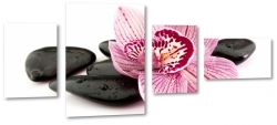 orchidea, fioletowy, kamie, wellness, kompozycja, rwnowaga, relaks, wyciszenie, natura