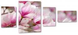magnolie, rowe, gazka, wiosenne, dla kobiety, eleganckie, biae to