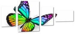 motyl, owad, kolorowy, mozaika, tczowy, skrzyda, abstrakcja, biae to