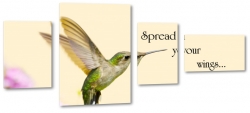 koliber, ptak, skrzyda, cytaty, przekaz, marzenia, symbol