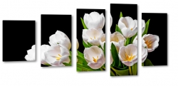 biae tulipany, kwiaty, bukiet, patki, licie, lato, natura, pikno, czarne to, makro