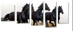 konie, mustangi, dziko, natura, galop, bieg, dark, czarny