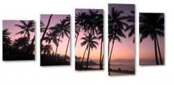 palmy, tropiki, wakacje, zachd soca, morze, plaa, piasek, wakacje, podr, krajobraz, widok, tropiki, tropikalny, fiolet