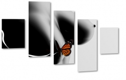 piersi, motyl, sztuka, akt, kobieta, skrzyda, dark, pomaraczowy