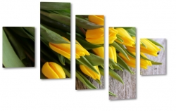 te tulipany, kwiaty, bukiet, patki, licie, lato, natura, pikno, makro