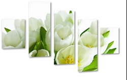 biae tulipany, kwiaty, bukiet, patki, licie, lato, natura, pikno, biae to, makro