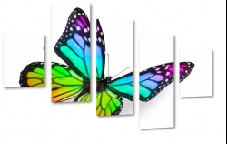motyl, owad, natura, pikno, kwiat, skrzyda, kolorowy, makro, mozaika 