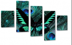 motyl, owad, natura, pikno, skrzyda, dark, makro, niebieski, czarny, abstrakcja