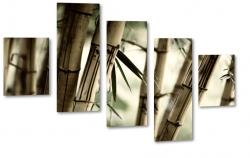 bambus, makro, zblienie, natura