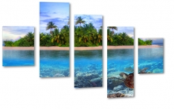 wyspa, tropiki, palmy, morze, ocean, rafa koralowa, plaa, piasek, wakacje, odpoczynek, krajobraz, widok, pejza
