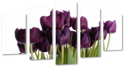 tulipany, fiolet, kwiaty, patki, natura, licie, bukiet 