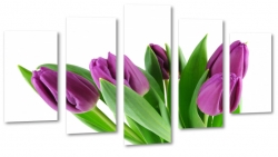 tulipany, fiolet, kwiaty, patki, natura, licie, bukiet, pikno