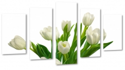 biae tulipany, kwiaty, bukiet, patki, licie, lato, natura, pikno