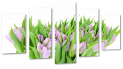 tulipany, fiolet, kwiaty, patki, natura, licie, bukiet, pikno