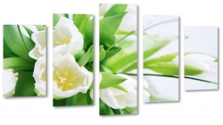 biae tulipany, rowy, kwiaty, bukiet, patki, licie, lato, natura, pikno, rozkwit