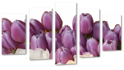 tulipany, fiolet, kwiaty, patki, natura, licie, bukiet, pikno, biae to