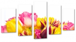 tulipany, kolorowe, kwiaty, patki, natura, licie, bukiet, pikno, biae to, ty, rowy