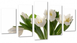 tulipany, biae, kwiaty, licie, pikno, natura, uroda, styl, biae to