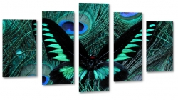 motyl, owad, natura, zielony, czarny, dark, abstrakcja, skrzyda 