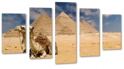 wielbd, garb, piramidy, egipt, afryka, pustynia, lato, upa 