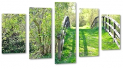 park, las, natura, drzewa, las, most, mostek, zwiedzanie, ziele, wiosna, lato, krajobraz, widok, pejza
