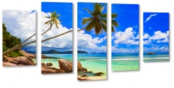 palmy, tropiki, skay, kamienie, wakacje, zachd soca, morze, plaa, piasek, wakacje, podr, krajobraz, widok