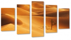 pustynia, egipt, afryka, beduini, lato, upa, piasek, piach, soce, skwar, wydmy, drzewo, oaza 