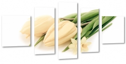 tulipany, biae, bukiet, jasne, na prezent, dla niej, 